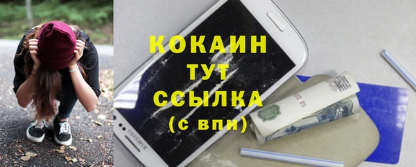 дживик Переславль-Залесский