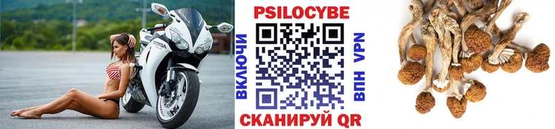 Галлюциногенные грибы Cubensis  Октябрьск 